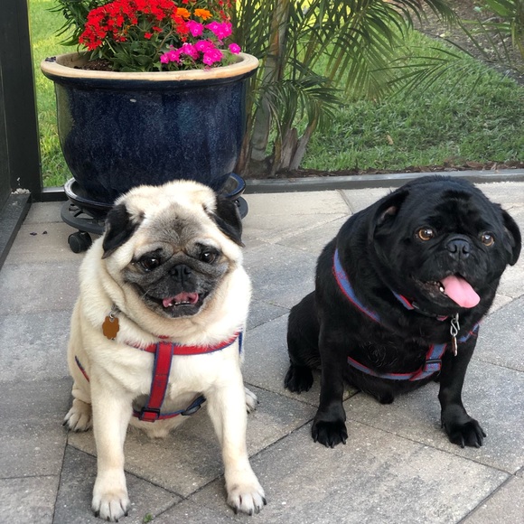 Meet your Posher, Chrissy - Picture 8 of 8